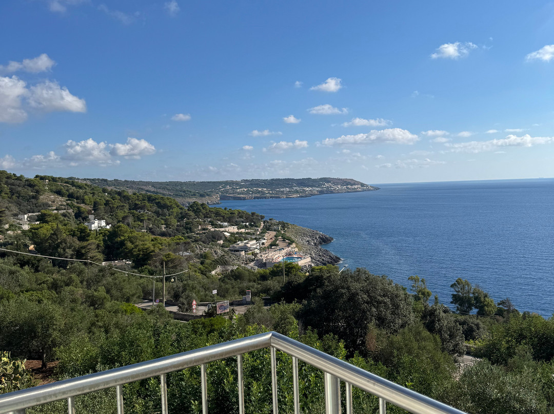 欧萨玛吉欧雷酒店主图