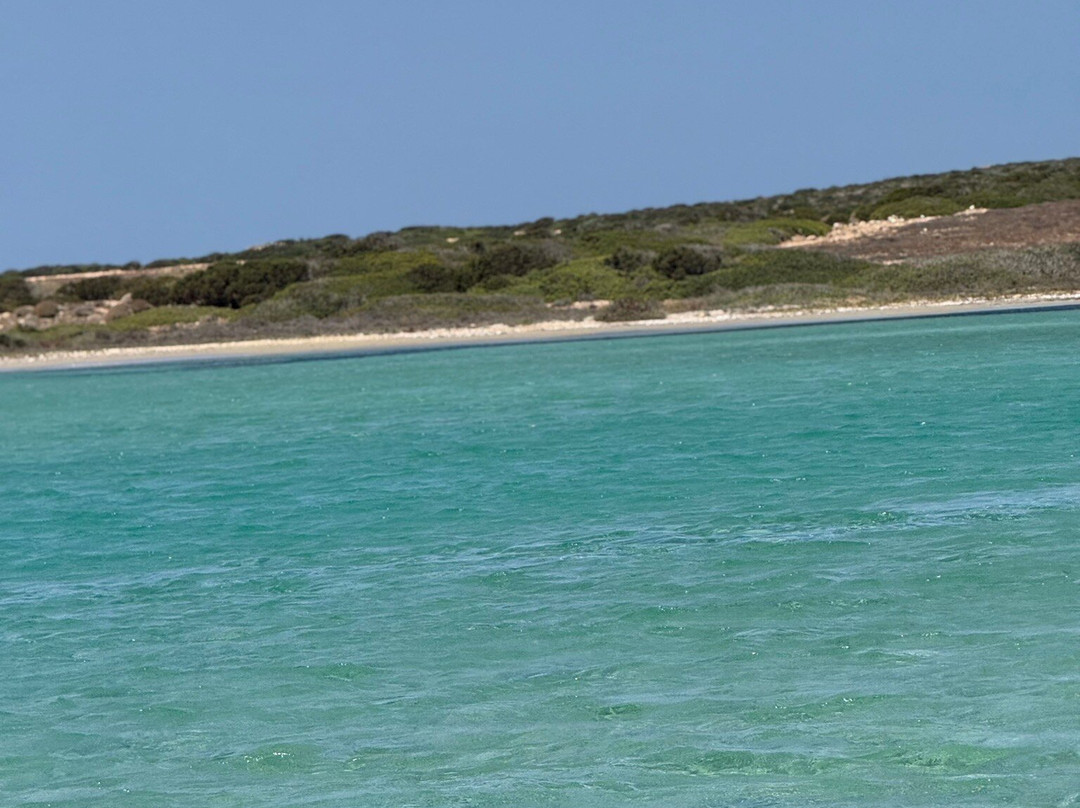 Escape From Reality-Pounta必去景点