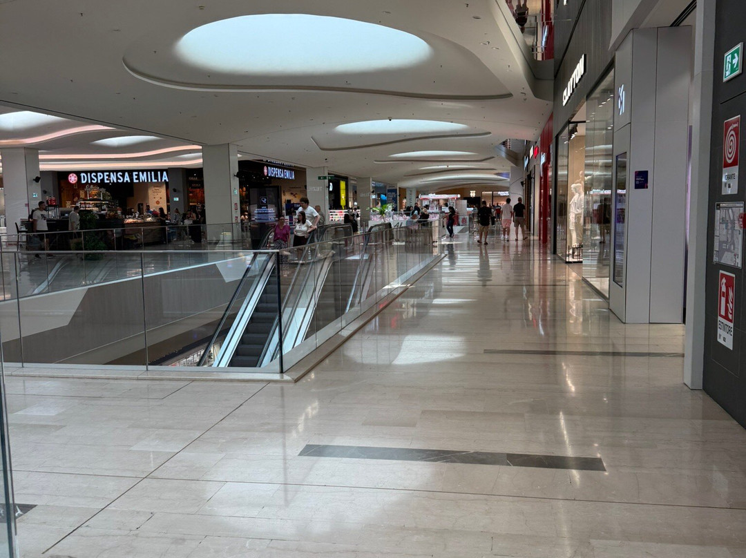 Centro Commerciale Shopville Gran Reno-雷诺河畔卡萨莱基奥必去景点