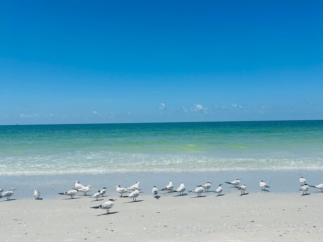 St. Pete Beach-圣彼得海滩必去景点