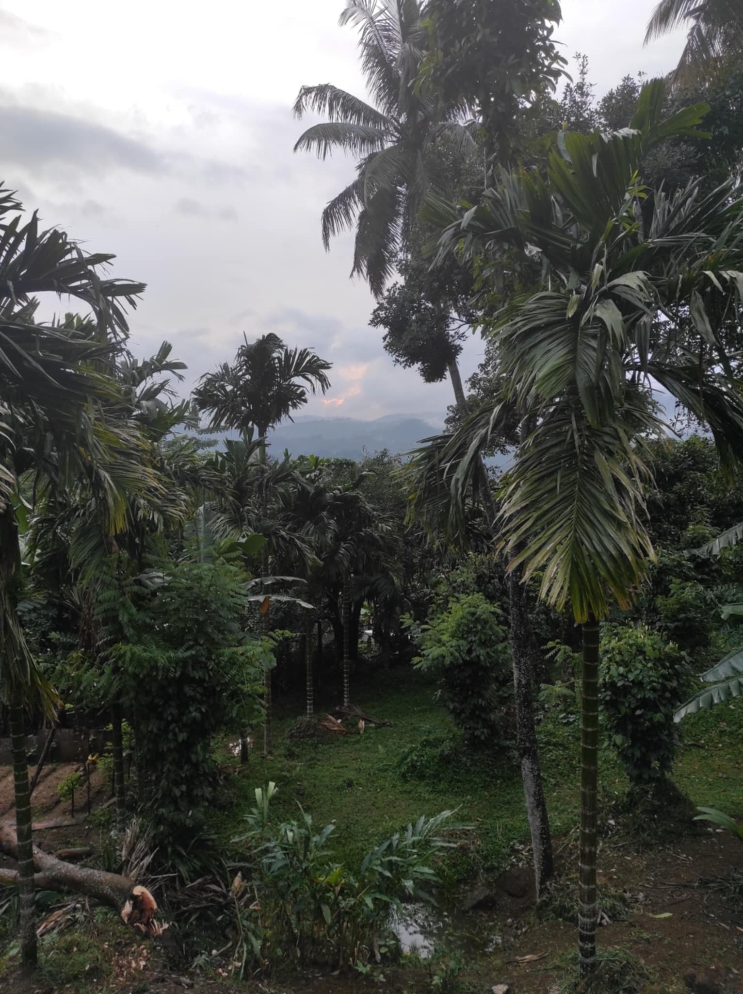 变化酒店-酒店景观