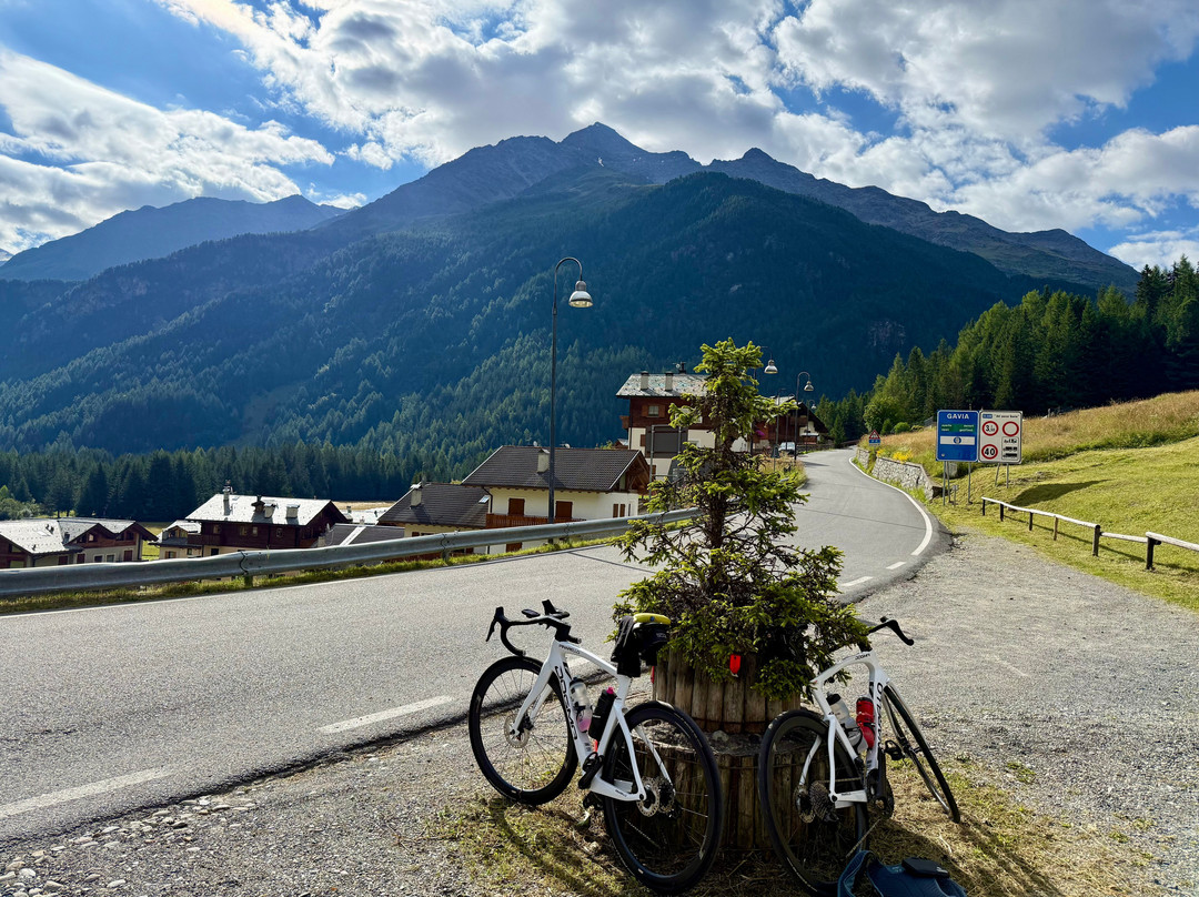 Funivia Bormio Active Hotel主图
