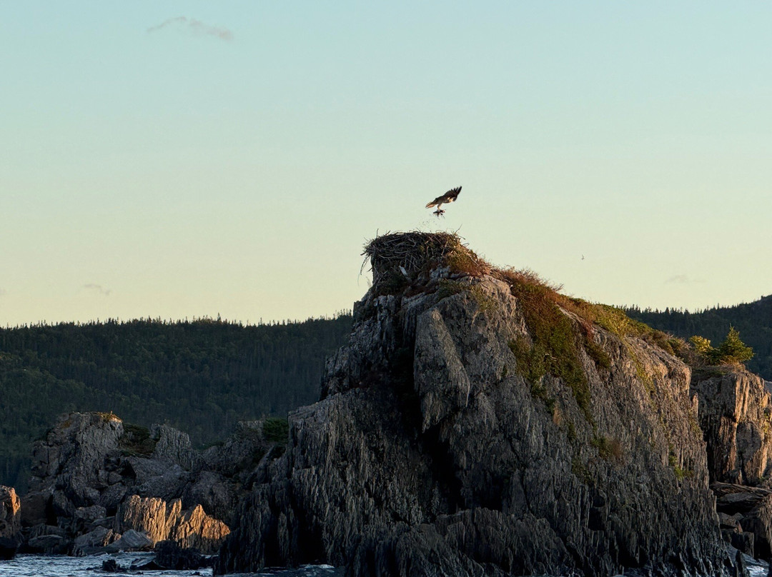 Clarey's Diving & Eco Boat Tours-Triton必去景点