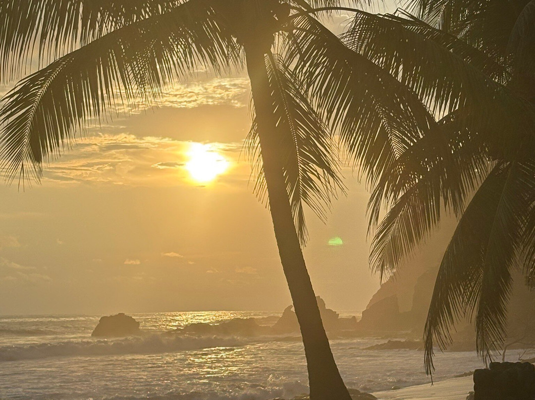 Terraza Del Pacifico主图