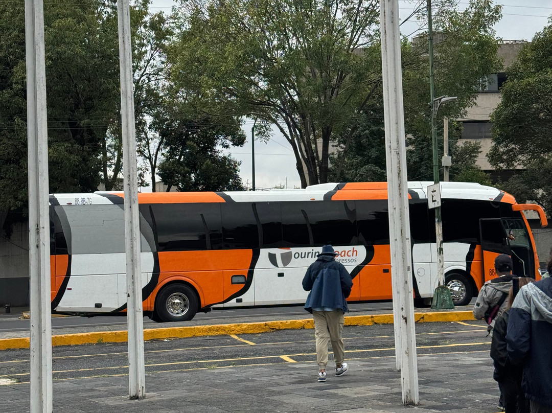 Amigo Tours-墨西哥城必去景点