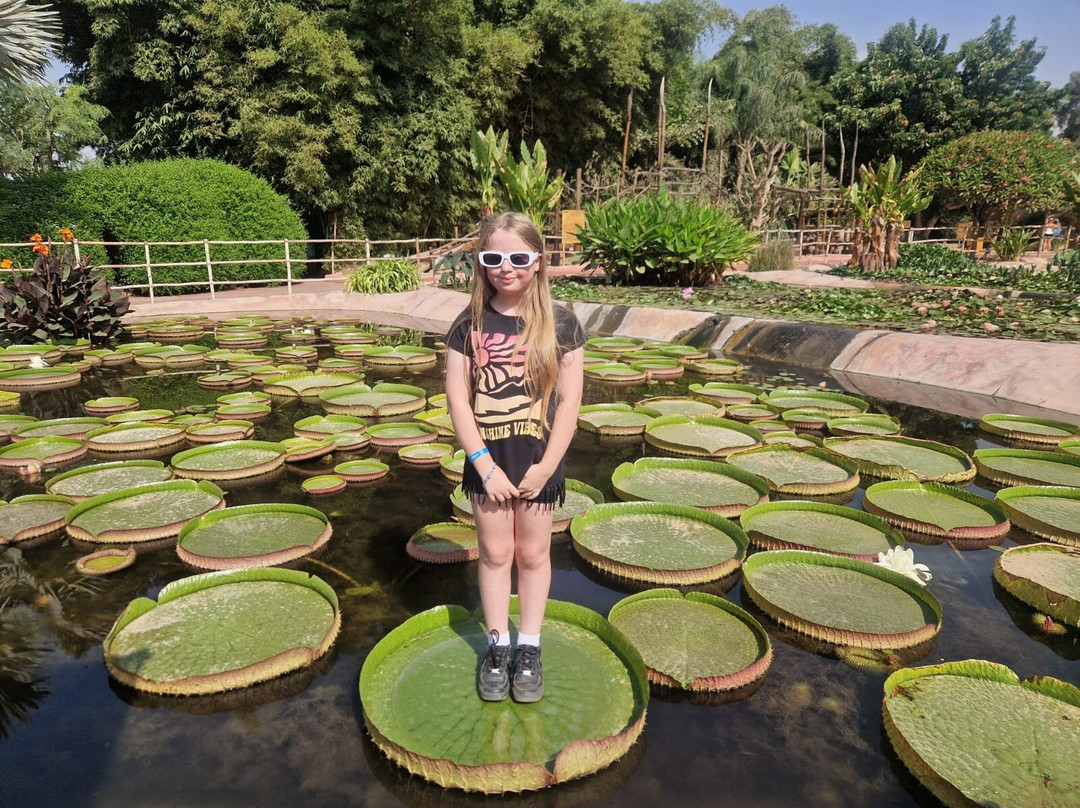 Crocoparc-阿加迪尔必去景点