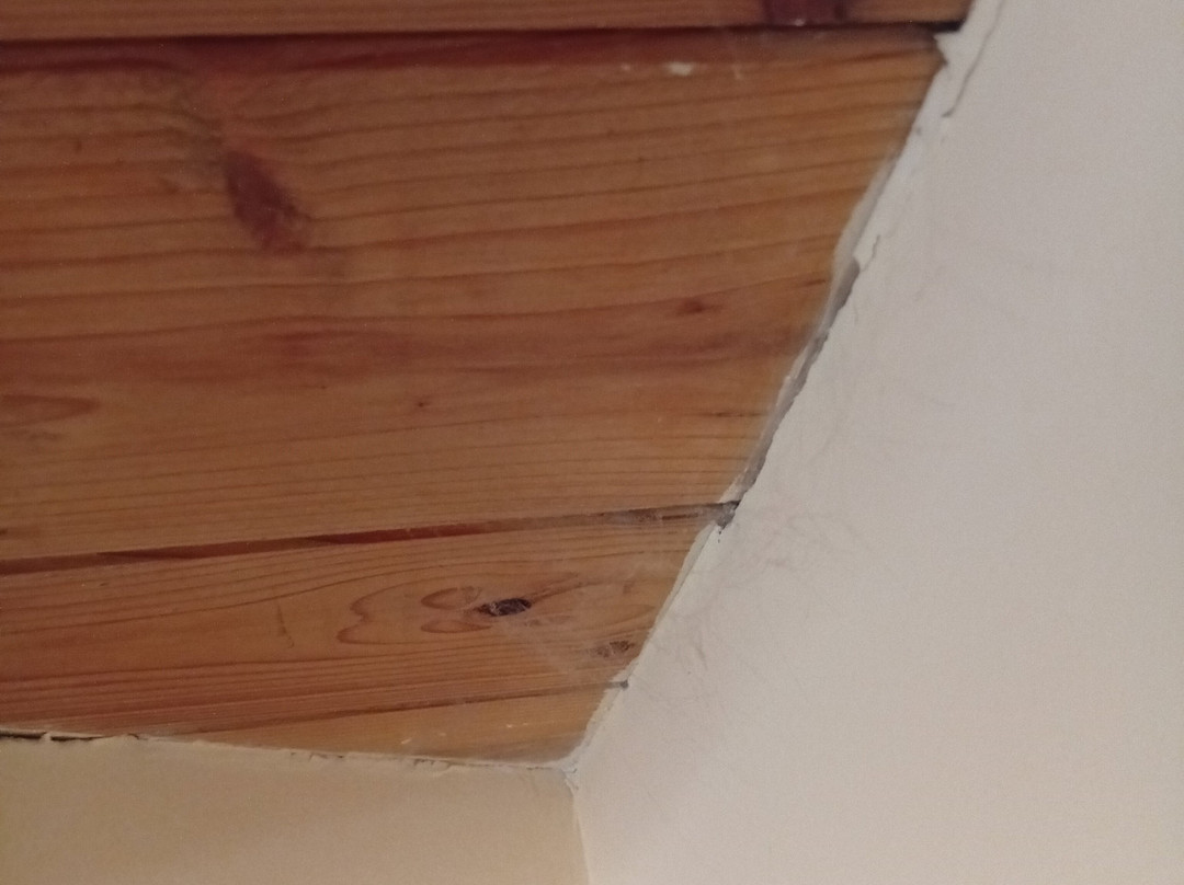 Rocca Degli Etnei主图