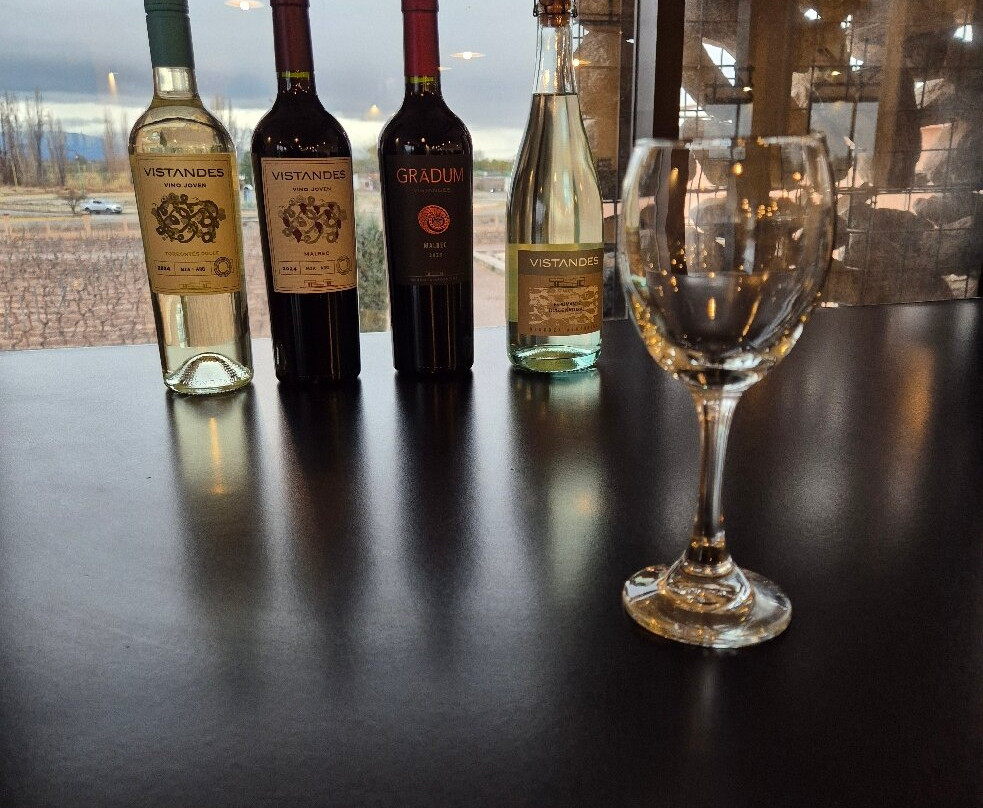 Vistandes Winery-Maipu必去景点