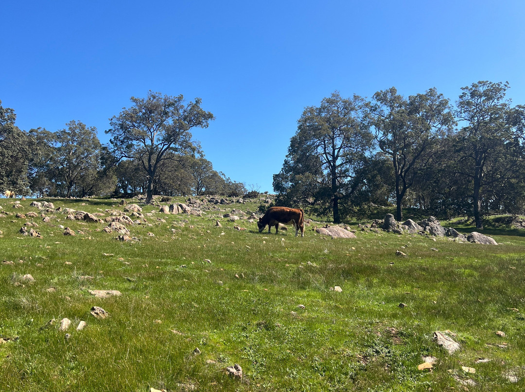 Jarrahdale Equestrian Centre-Jarrahdale必去景点