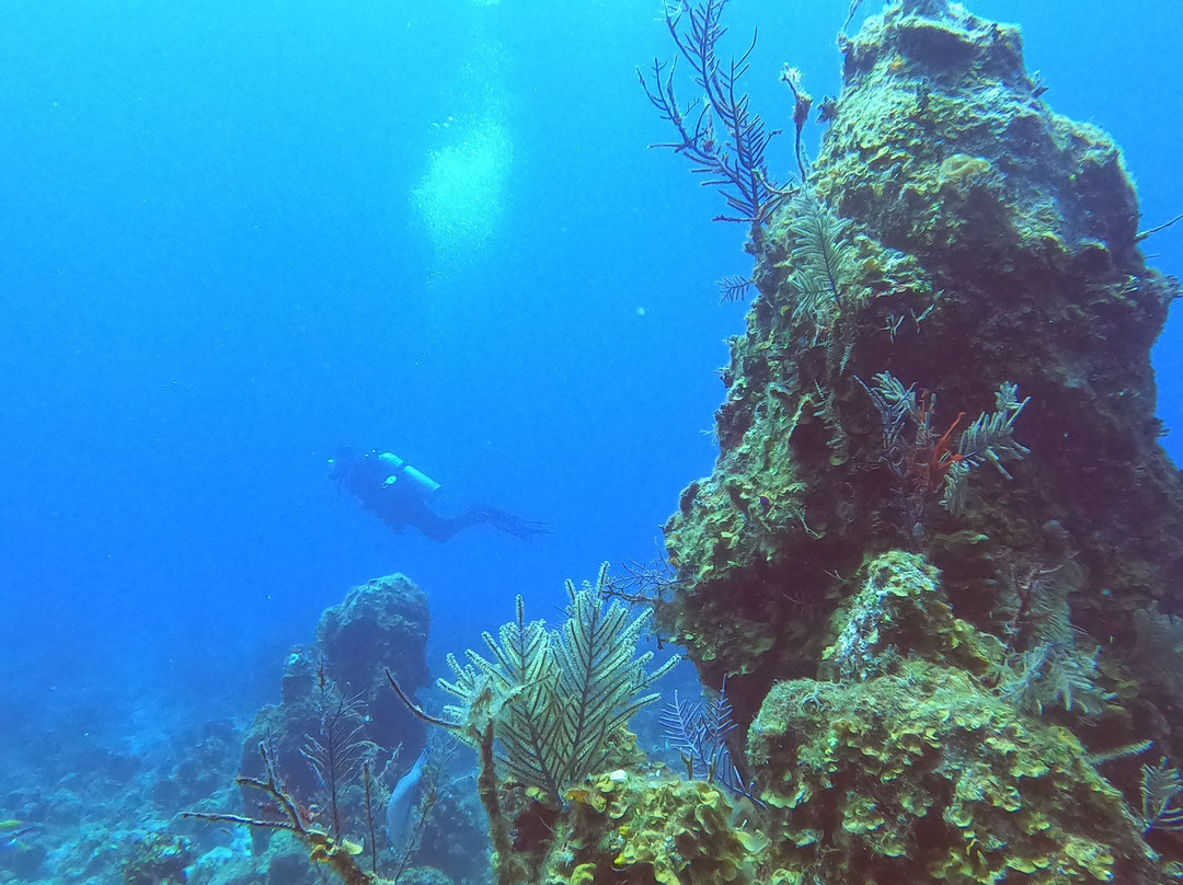 Aqua TCI-普罗维登西亚莱斯必去景点