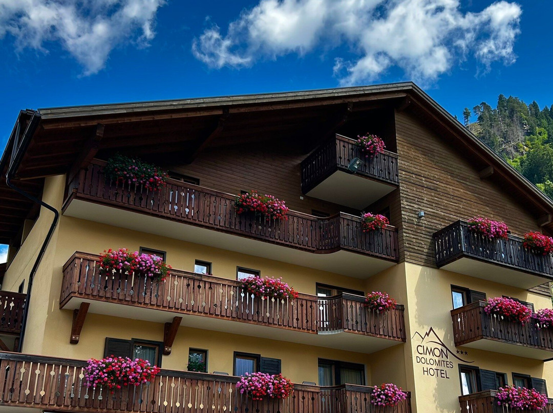 Cimon Dolomites Hotel主图