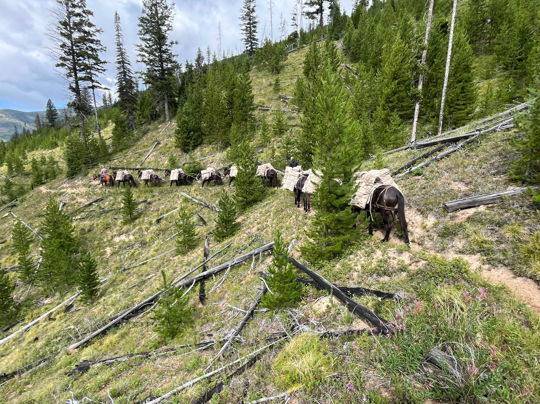 K Lazy 3-Lincoln必去景点