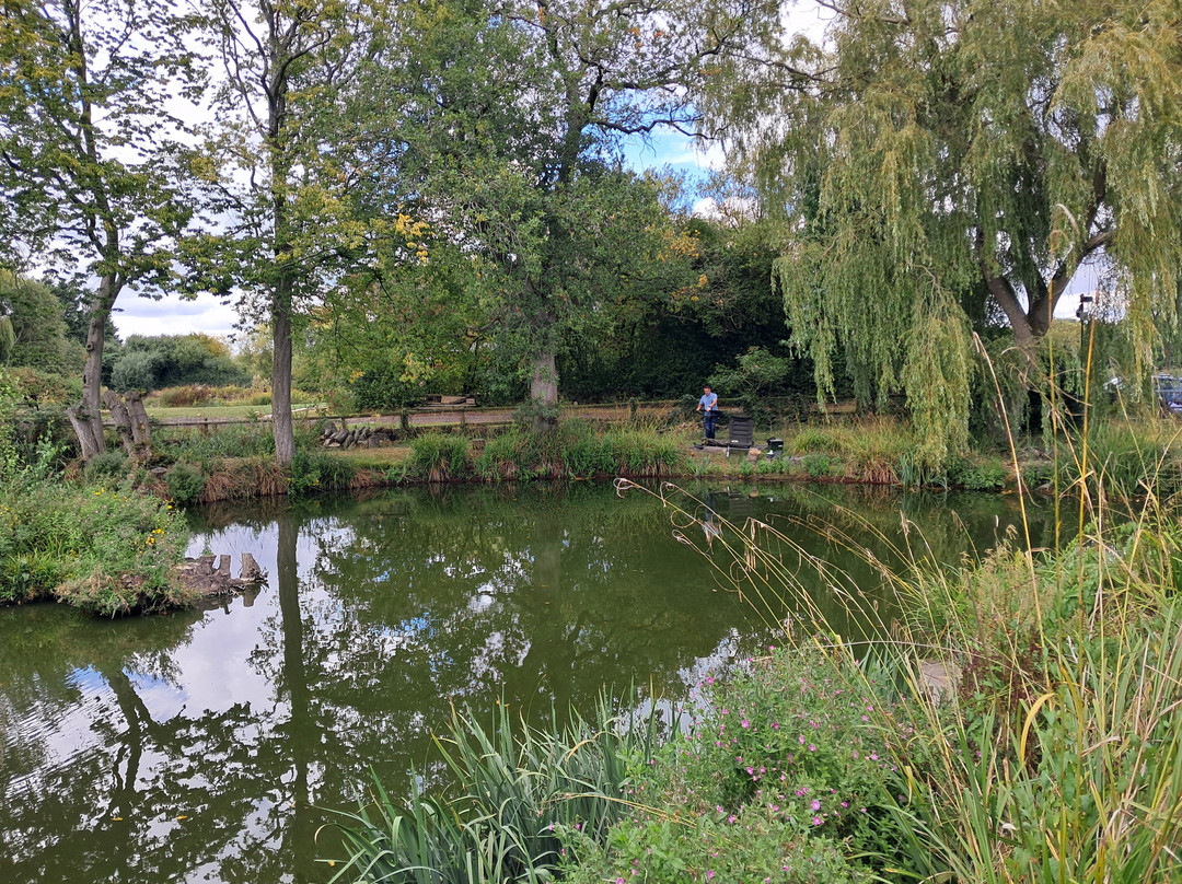 Shirkoak Farm Fishery and Bed & Breakfast-Woodchurch必去景点