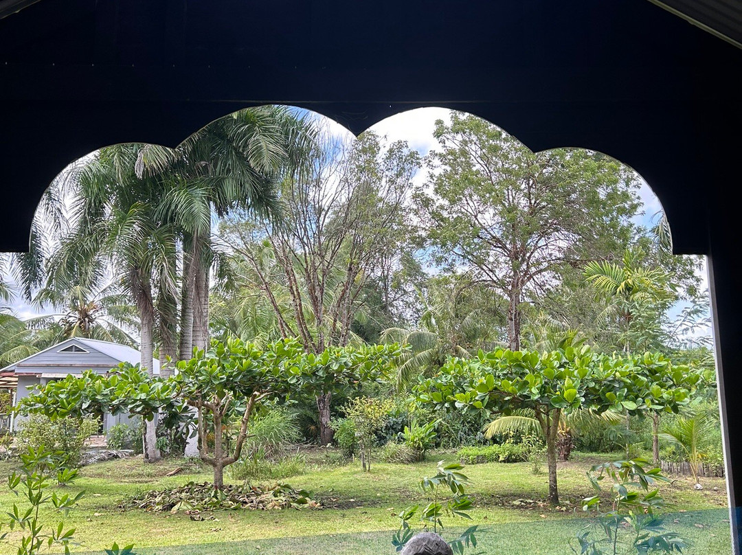 Museum Bakkie-Reynsdorp必去景点