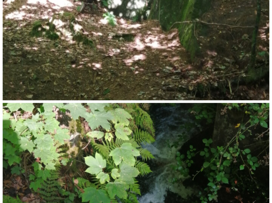 Karlstalschlucht-Trippstadt必去景点