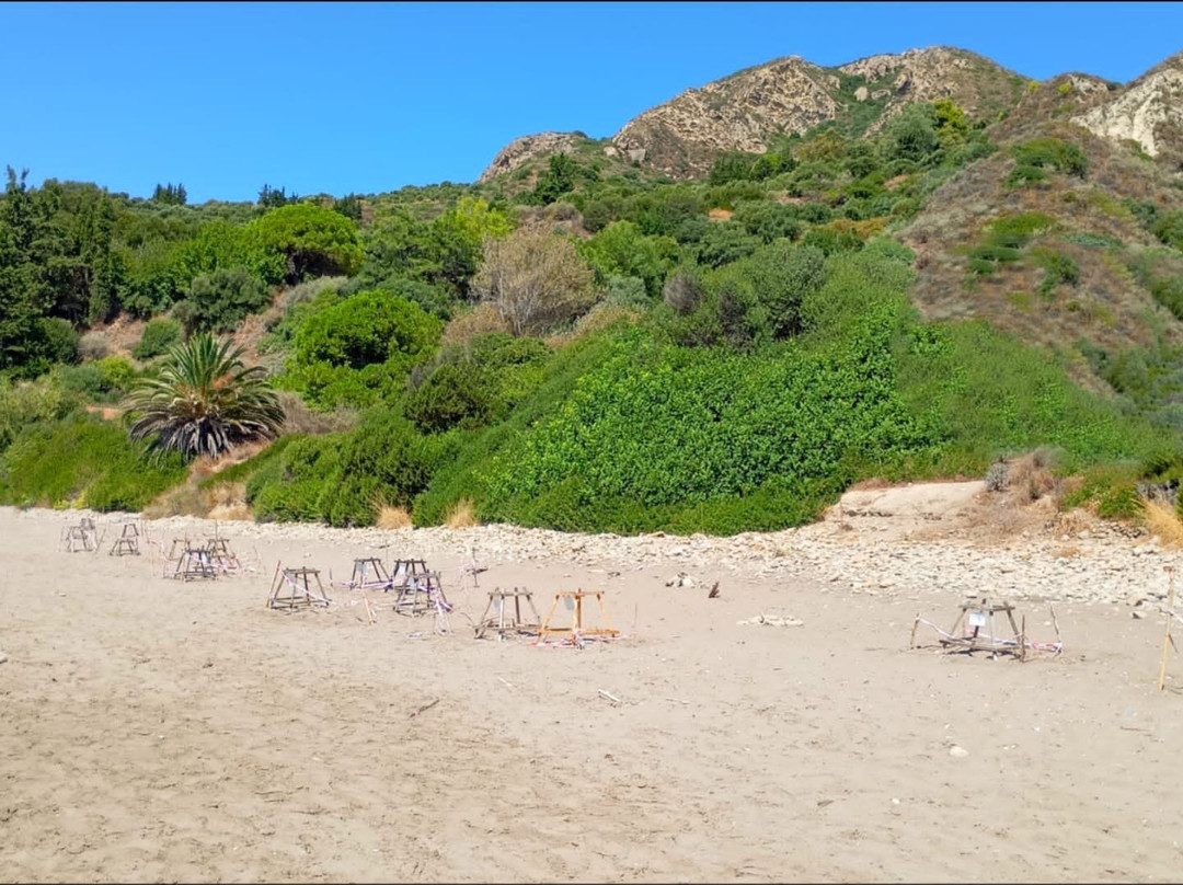 Daphni Nesting Beach-扎金索斯镇必去景点