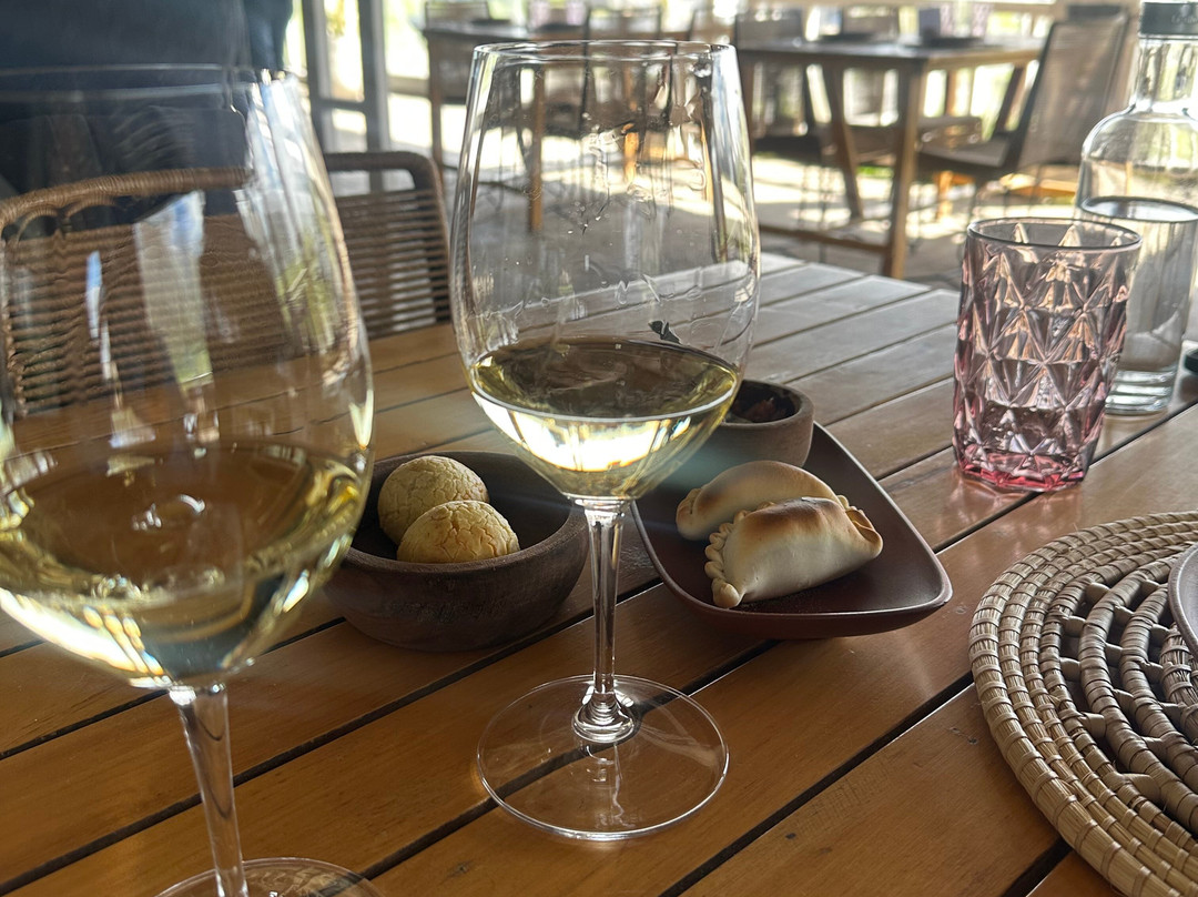 Gamboa - Viñas & Bodega-Campana必去景点