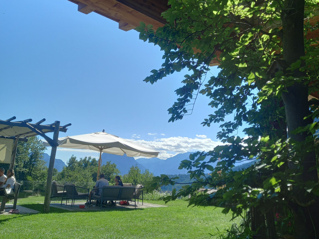 Azienda Agricola & Agriturismo Il Ritorno-San Lorenzo Dorsino必去景点
