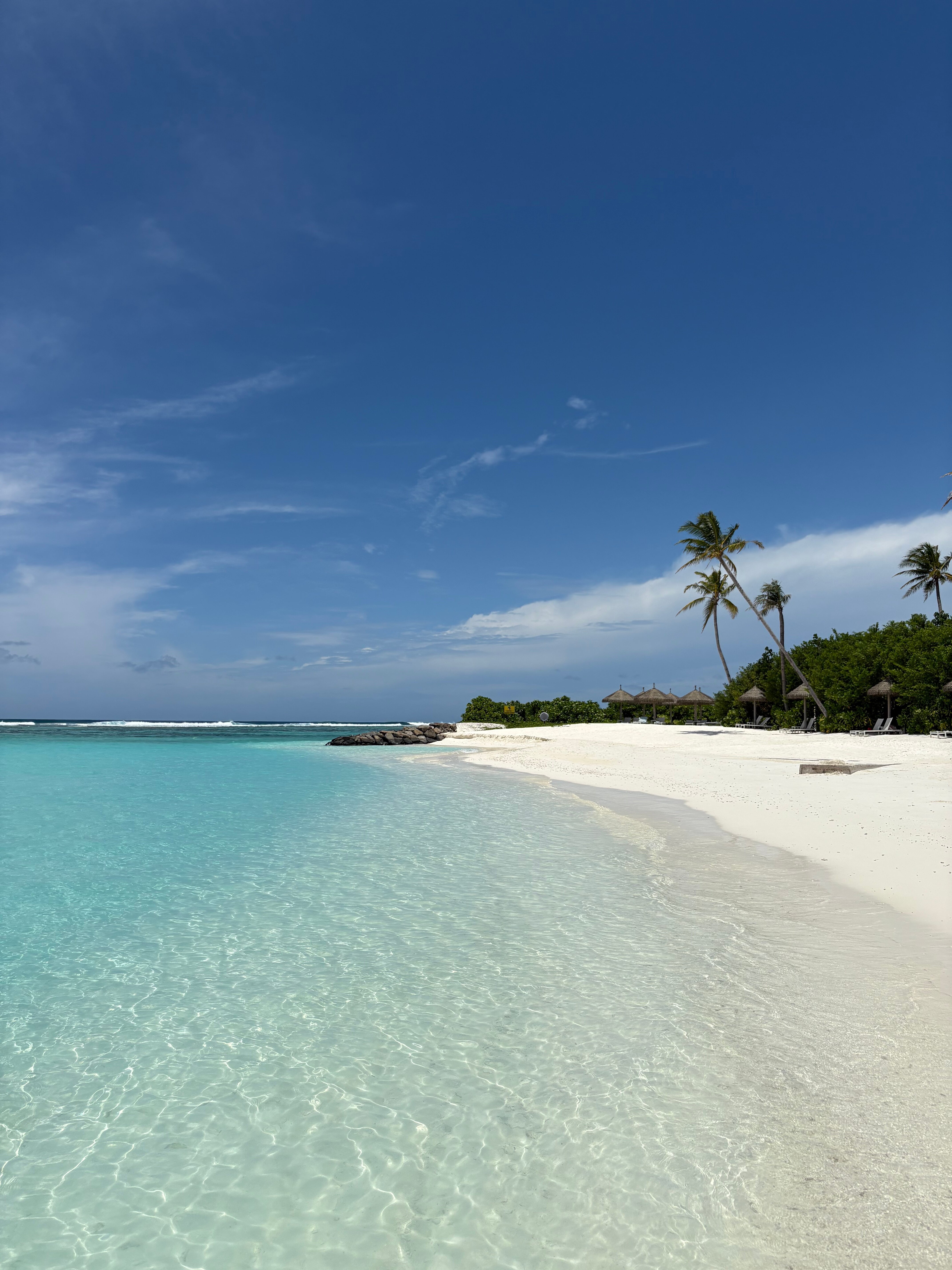 Joy Island Maldives by Cocoon Collection-泳池