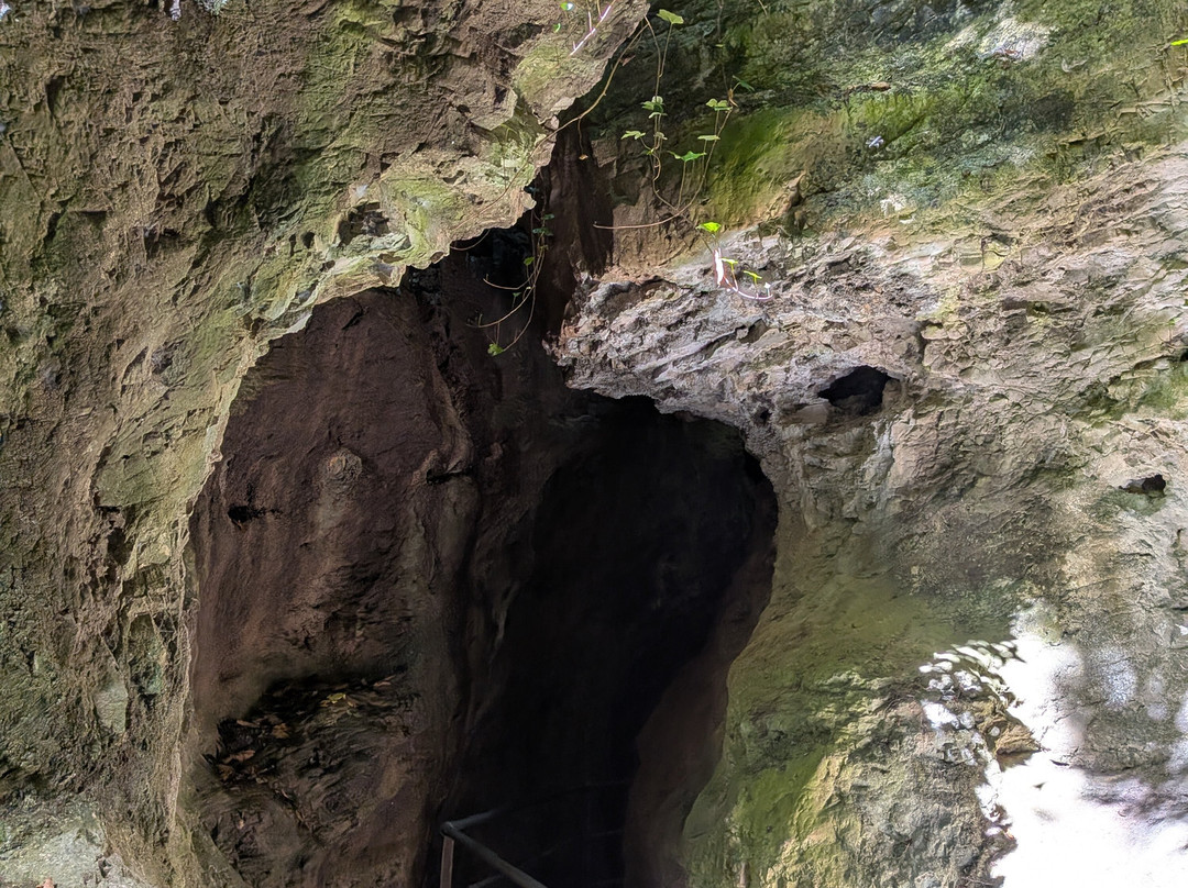 Canyon Rio Sass-Fondo必去景点