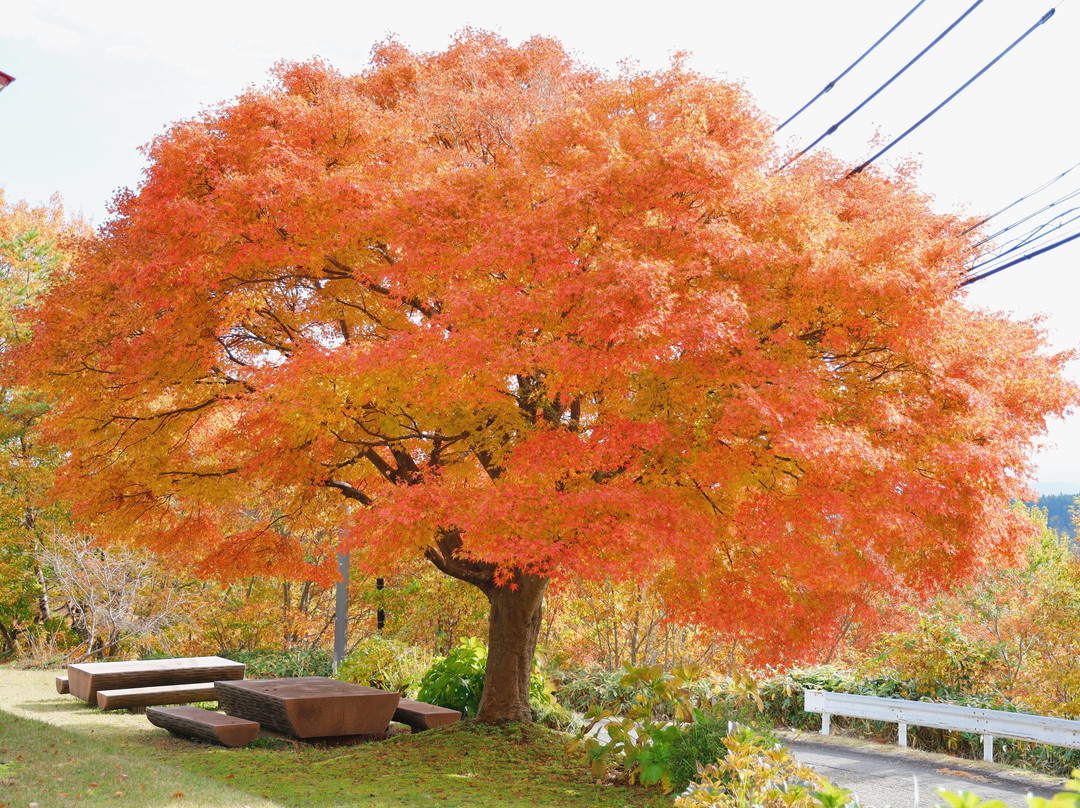 Kiyokawa Kogenhoyo Center
