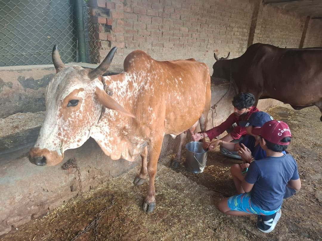 Karma Lakelands Golf Resort & Residences主图