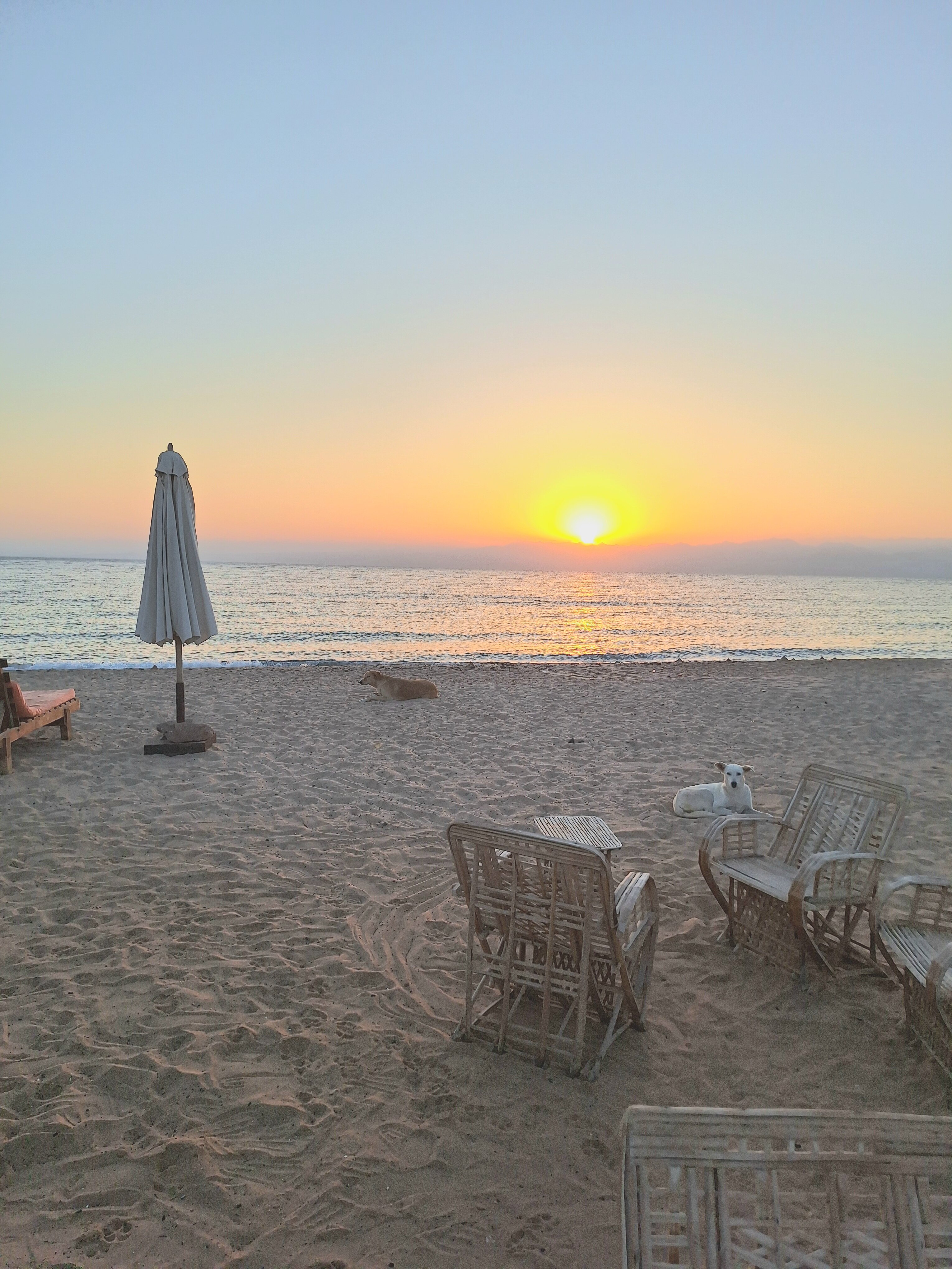 Habiba Beach Lodge-泳池