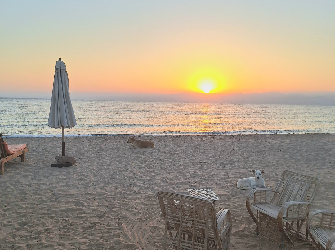 Habiba Beach Lodge主图