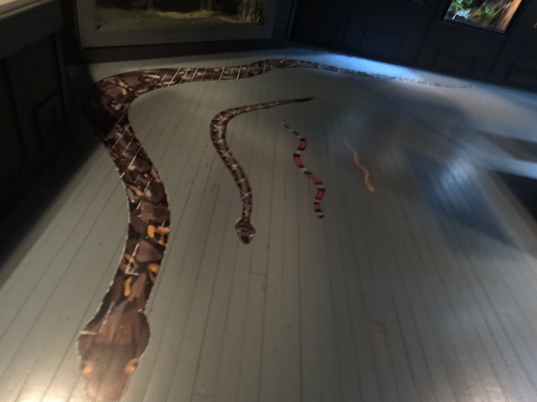 Electric City Aquarium & Reptile Den-斯克兰顿必去景点