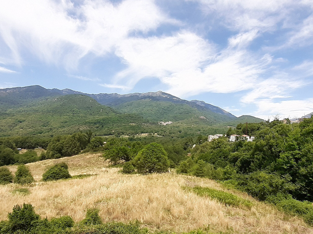 Auberge A Filetta主图