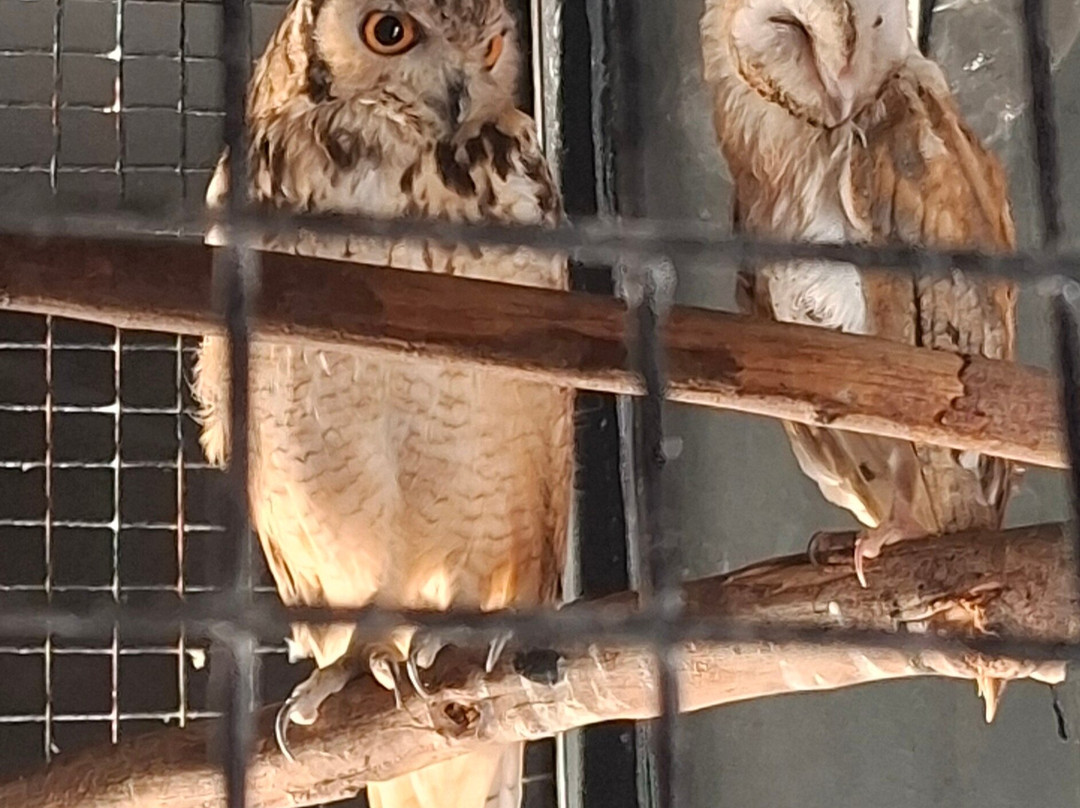 Hurghada Grand Aquarium-赫尔格达必去景点