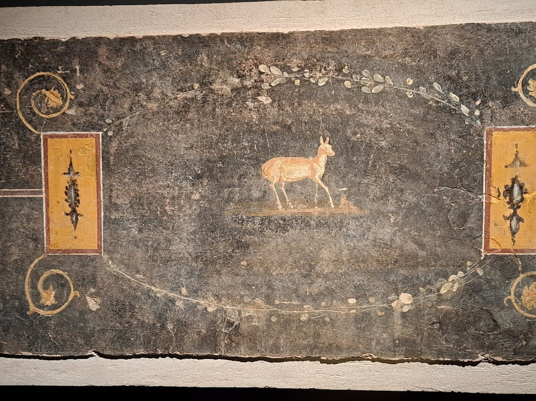 Reggia Quisisana-斯塔比亚海堡必去景点