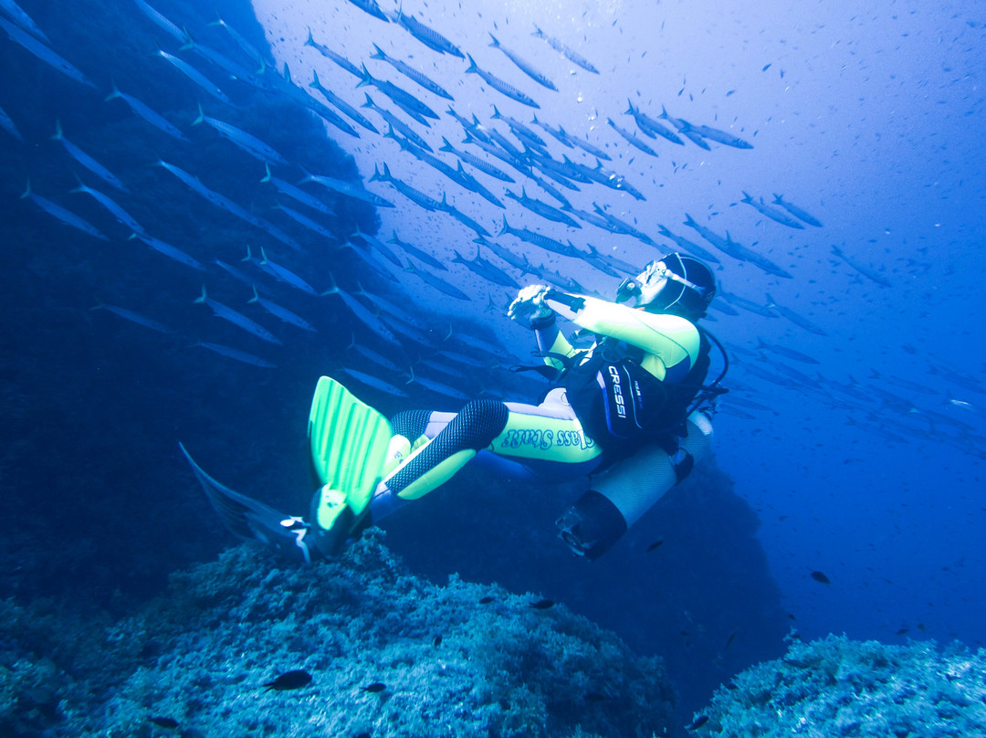 Mero Diving-Cala Ratjada必去景点