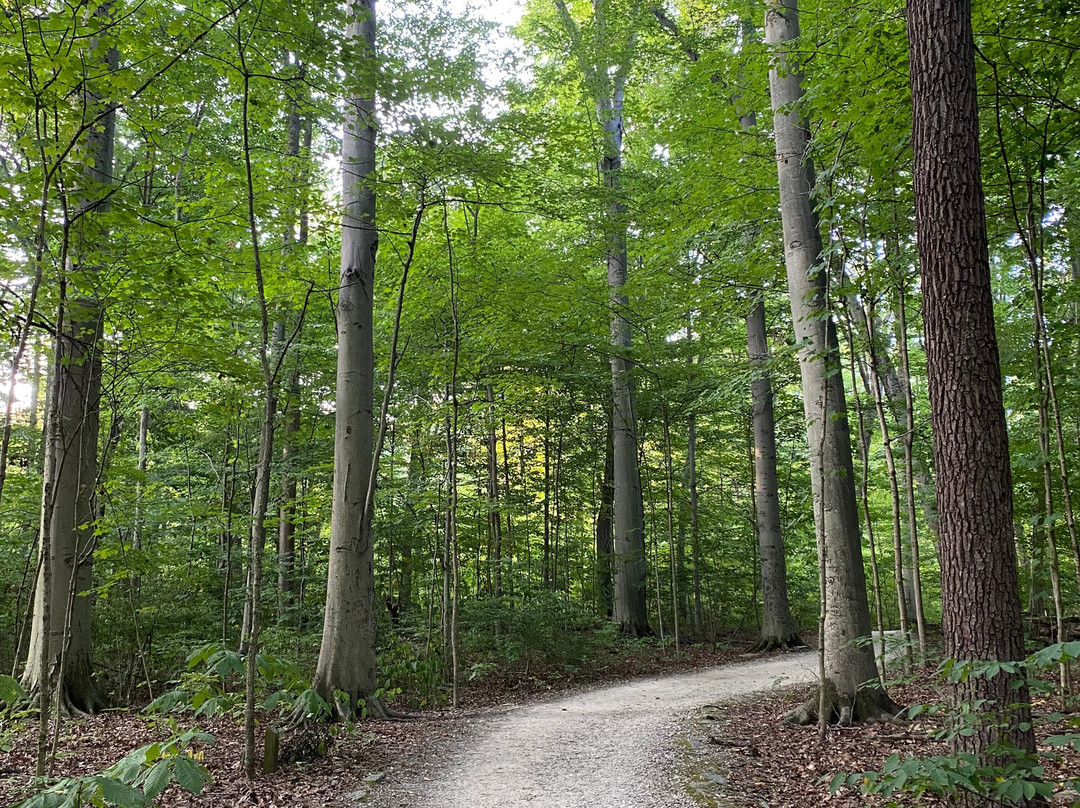 Inniswood Metro Gardens-韦斯特维尔必去景点
