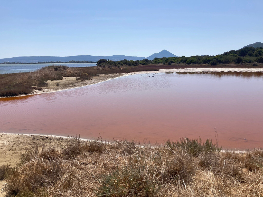 Voidokilia Beach-Petrochori必去景点
