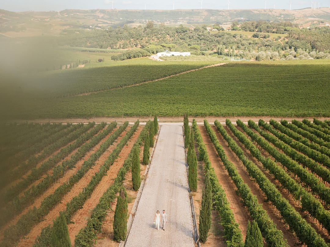 AdegaMae-托雷斯韦德拉什必去景点