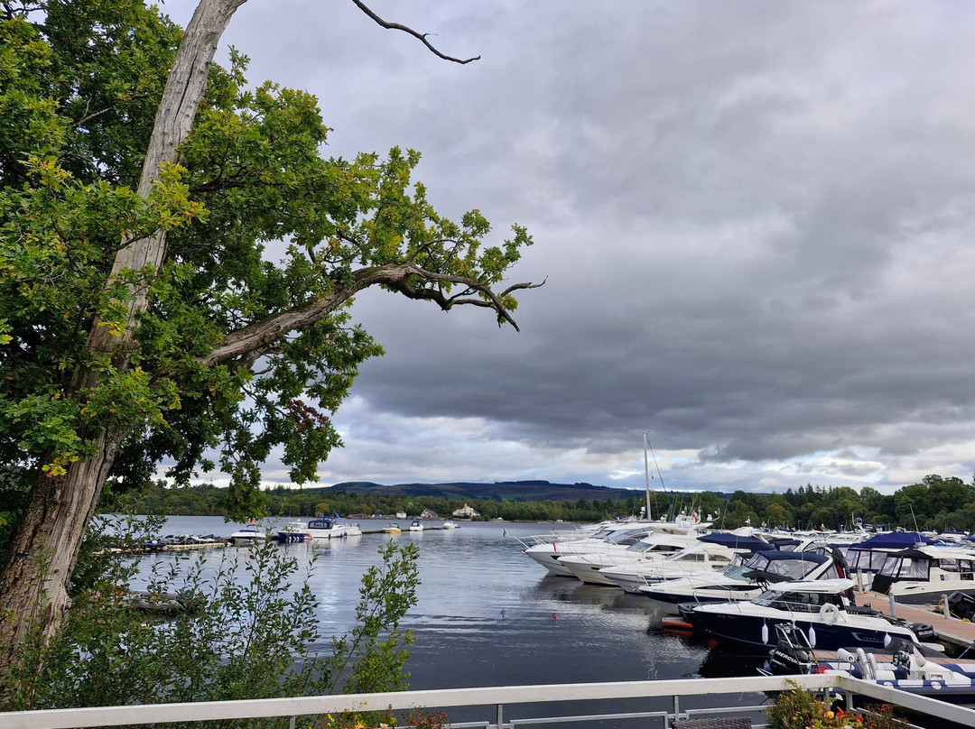 Cameron House - La Vista