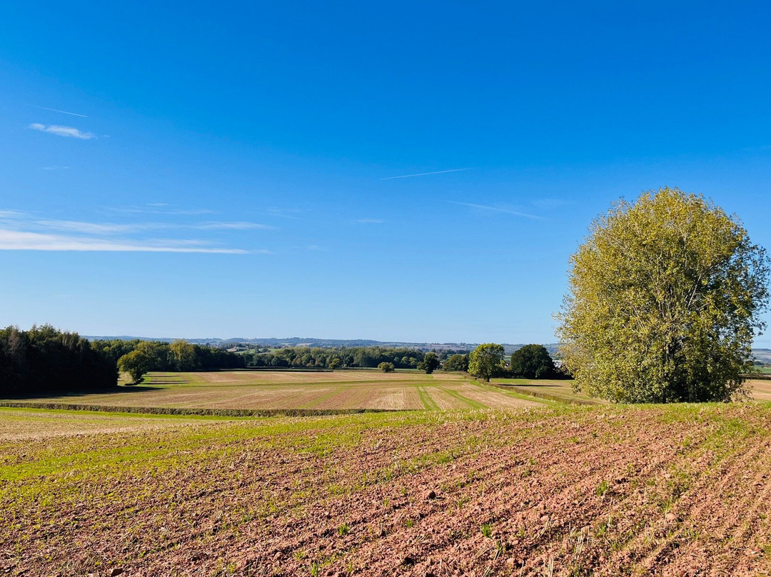 Cotswold Tours & Travel-莫顿因马什必去景点