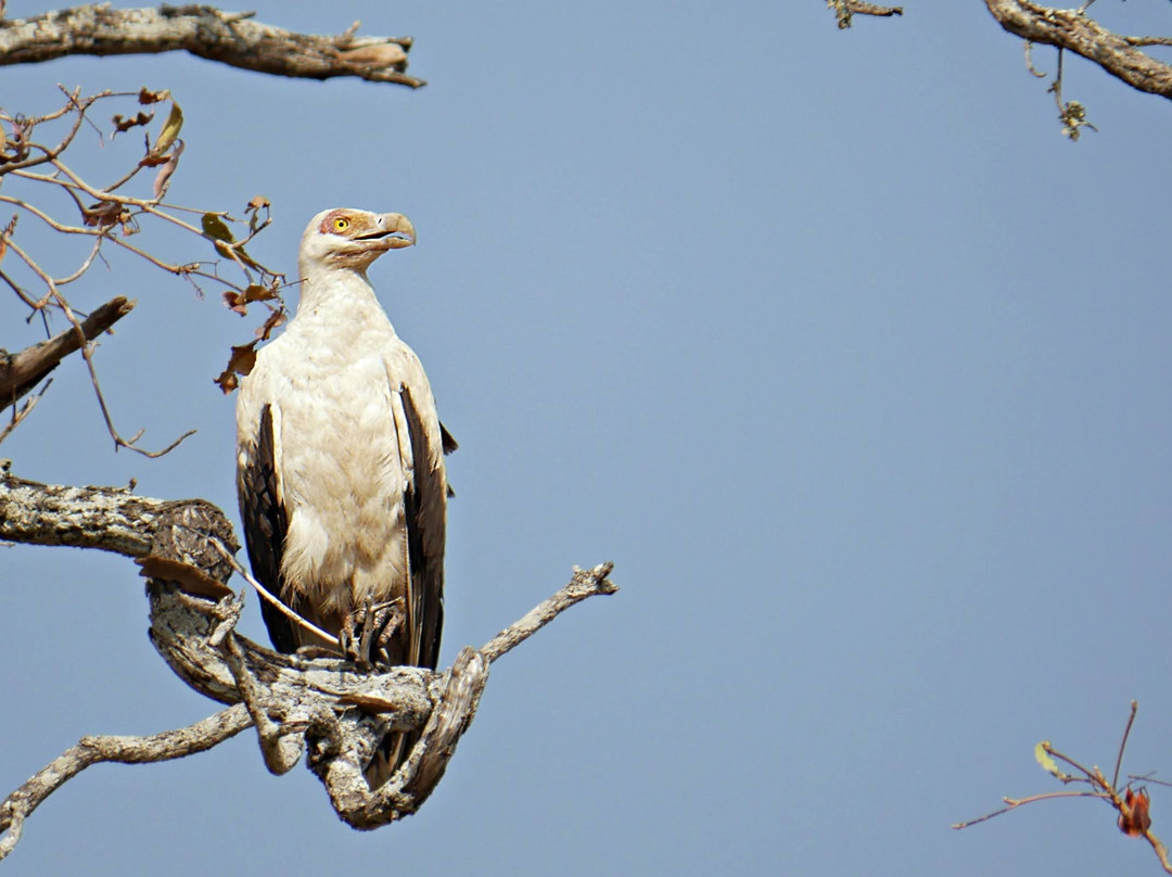 Nyika Discovery Ltd-阿鲁沙必去景点
