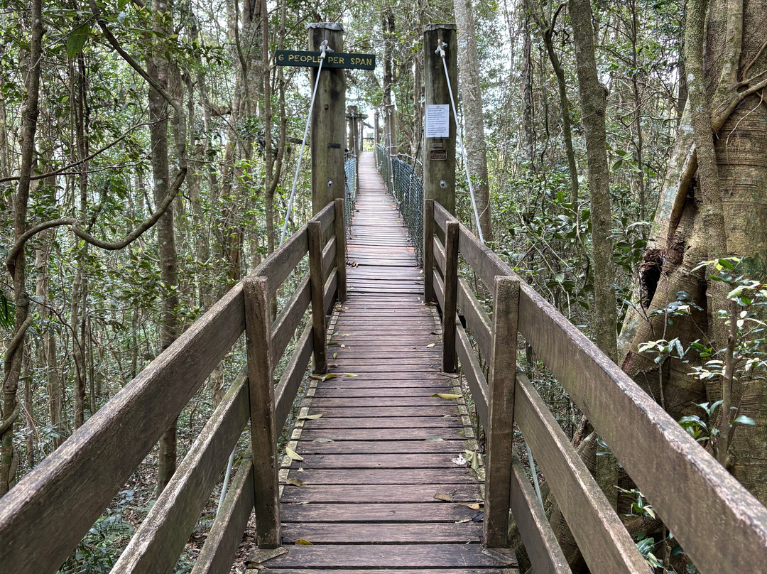 O'Reilly's Rainforest Retreat Day Experiences-莱明顿国家公园必去景点