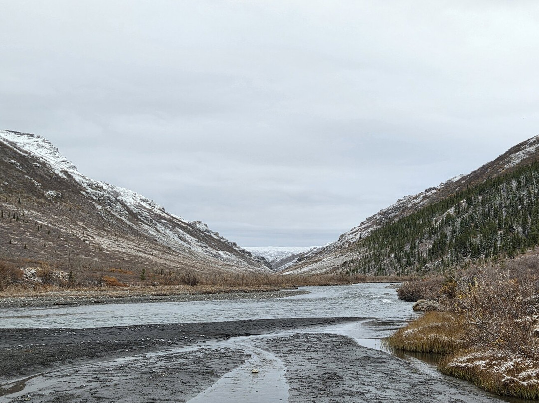 Denali National Park-阿拉斯加必去景点