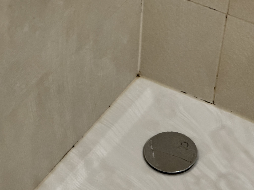 Monvidal Residence Guesthouse主图