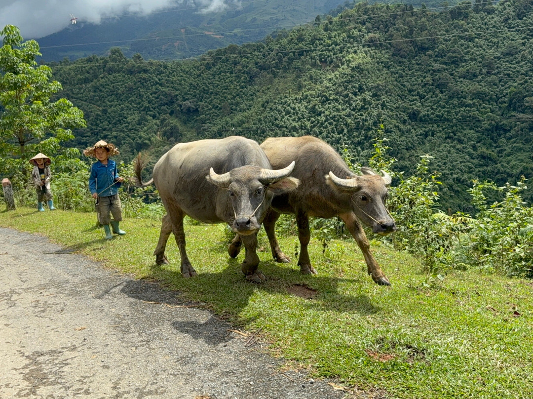 Hagiangtravel123-Ha Giang必去景点