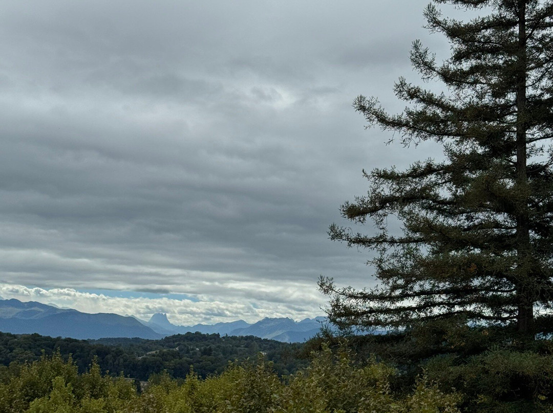 Boulevard des Pyrénées-坡市必去景点