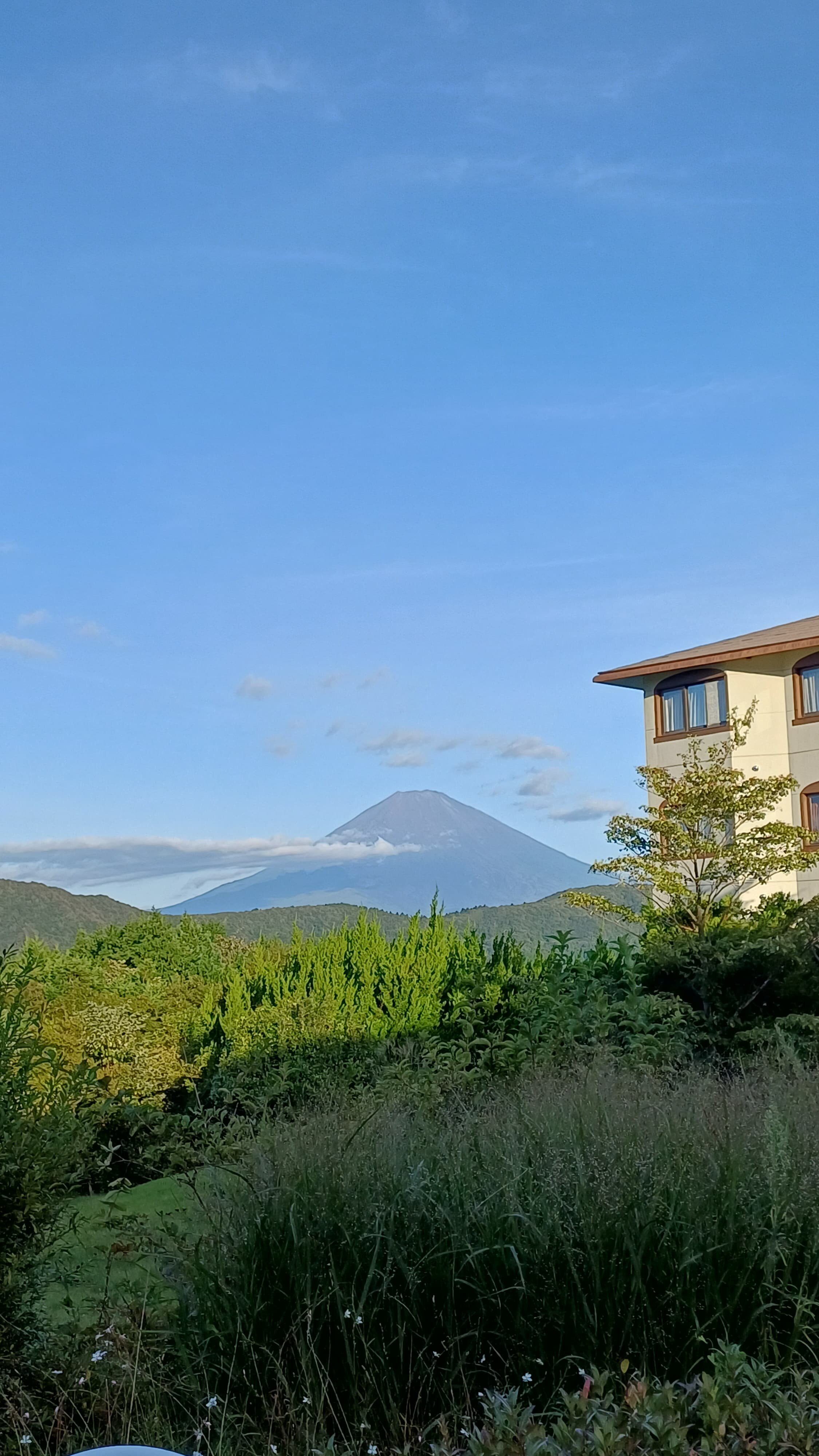 绿色广场酒店-官方