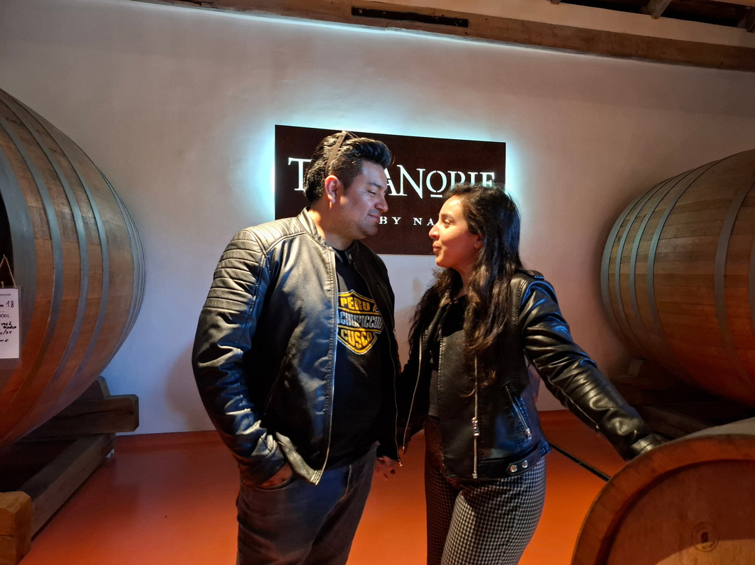 Viña Terranoble-San Clemente必去景点