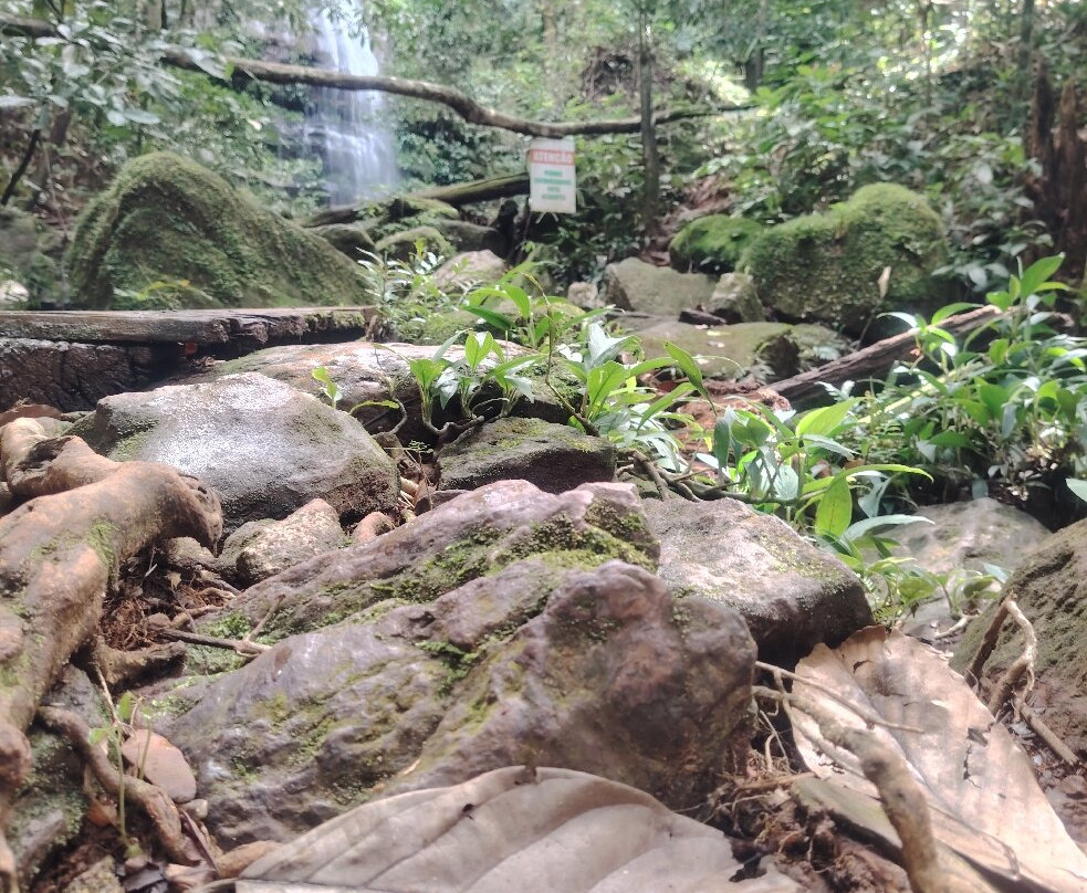 cachoeira de Taquaruçu-Palmas必去景点