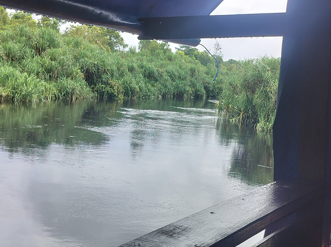 Guia En Borneo-Pangkalan Bun必去景点