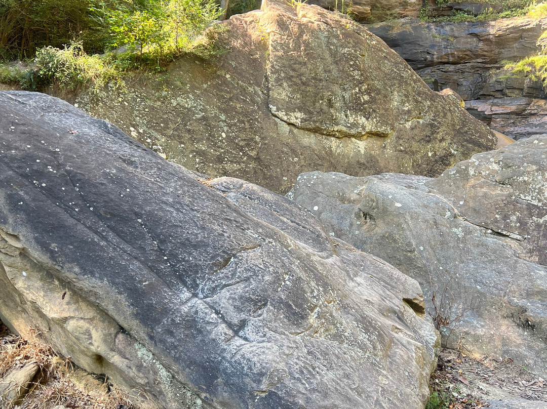 Toccoa Falls-Toccoa必去景点