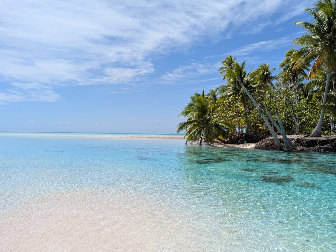 Kaipolanie Garden主图